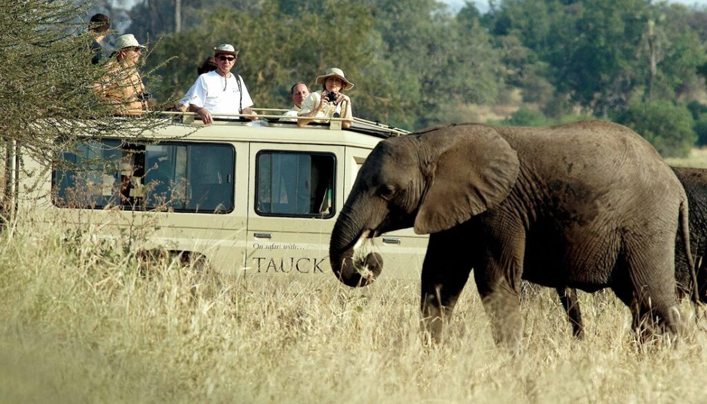 Tauck African Safari