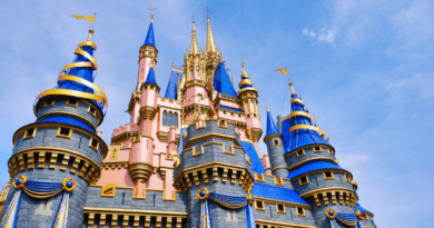 Walt Disney World Resort's Cinderella Castle