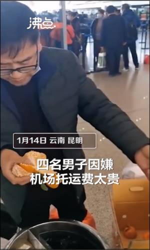Screenshot of a video showcasing one of the travellers who ate 30 kilograms of oranges in under 30 minutes.