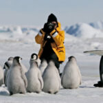 Antarctica trip by Hurtigruten, as part of Voyages by Kensington Tours.