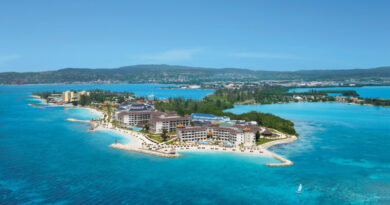 Secrets Wild Orchid Montego Bay, AMR Collection