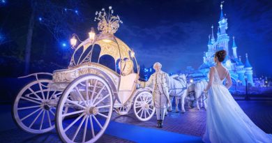 The Disney Fairy Tale Carriage