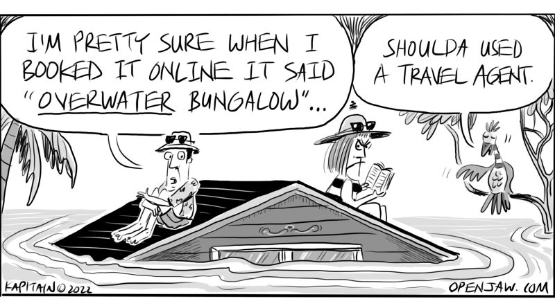 Cartoon of a couple sitting on a roof of a cottage submerged in water and the husband says that he could have sworn he asked for an over water bungalow. A parrot replies saying that they should have used a travel agent