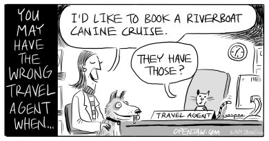 Cartoon about a canine cruise