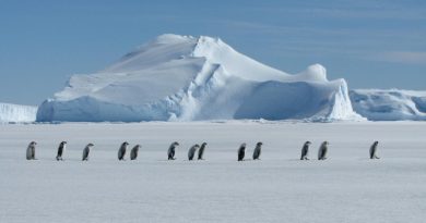 Seabourn in Antarctica