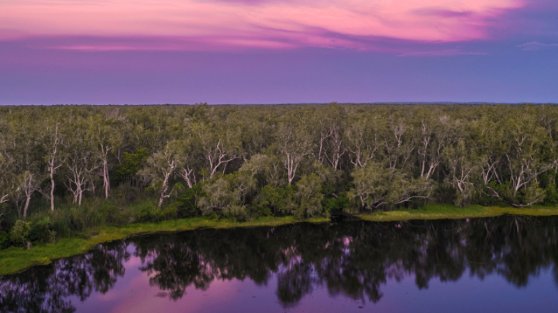 Views from Finniss River Lodge