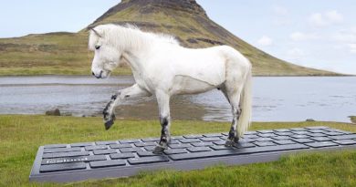 OutHorse Your Email. Courtesy of Inspired by Iceland on YouTube.