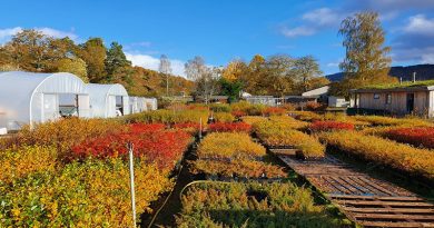 Trees for Life’s flagship rewilding centre, Dundreggan and its tree nursery located in the Scottish Highlands ©Trees For Life