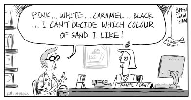 cartoon about a customer asking their travel agent which colour of sand is the best