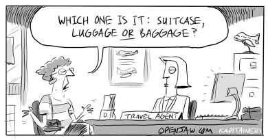 cartoon of a client asking a travel agent if the correct term is suitcase, luggage or baggage