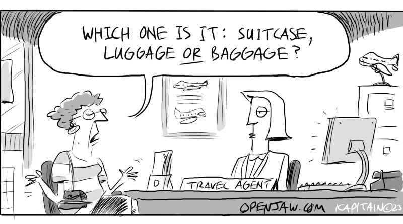 cartoon of a client asking a travel agent if the correct term is suitcase, luggage or baggage