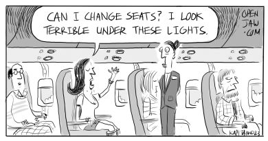 cartoon about a passenger on a plane wanting to change their seat becasue they don't think the light is flattering