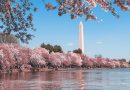 Washington D.C. Tourism Comes to Canada
