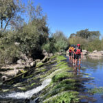 Soft canyoning at Azenhas da Seda, Alentejo, Portugal