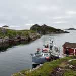 Fogo Island Boat Tours docks at Little Fogo Islands